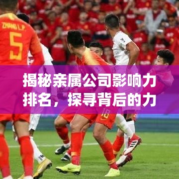 揭秘亲属公司影响力排名，探寻背后的力量与势力版图！