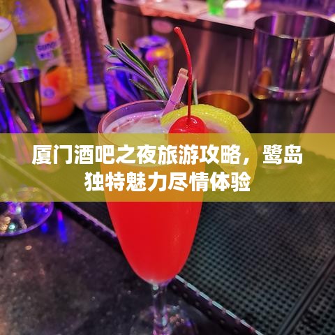 厦门酒吧之夜旅游攻略，鹭岛独特魅力尽情体验