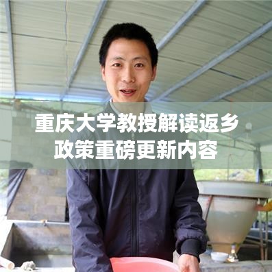 重庆大学教授解读返乡政策重磅更新内容