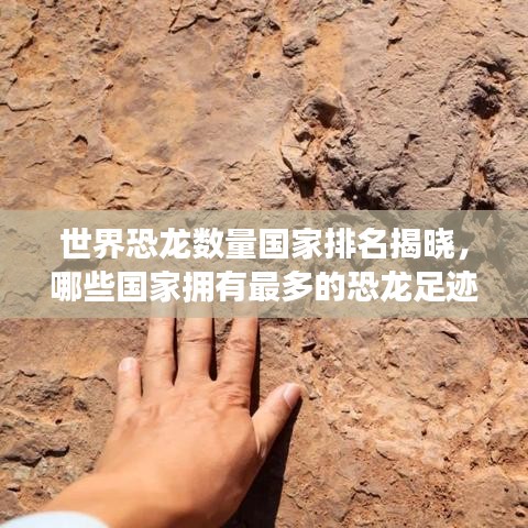 世界恐龙数量国家排名揭晓，哪些国家拥有最多的恐龙足迹？