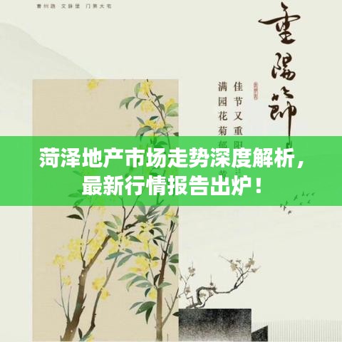 菏泽地产市场走势深度解析，最新行情报告出炉！