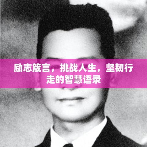 励志箴言，挑战人生，坚韧行走的智慧语录