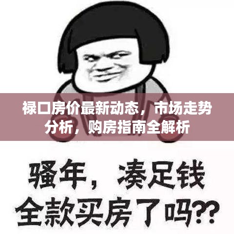 禄口房价最新动态，市场走势分析，购房指南全解析
