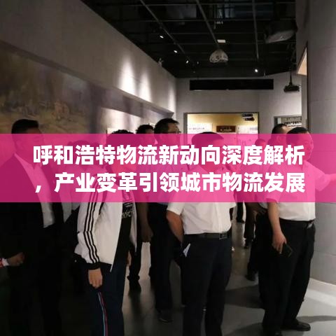 呼和浩特物流新动向深度解析，产业变革引领城市物流发展之路