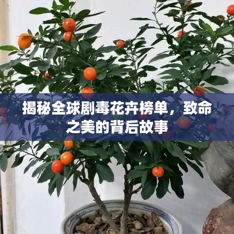 揭秘全球剧毒花卉榜单，致命之美的背后故事