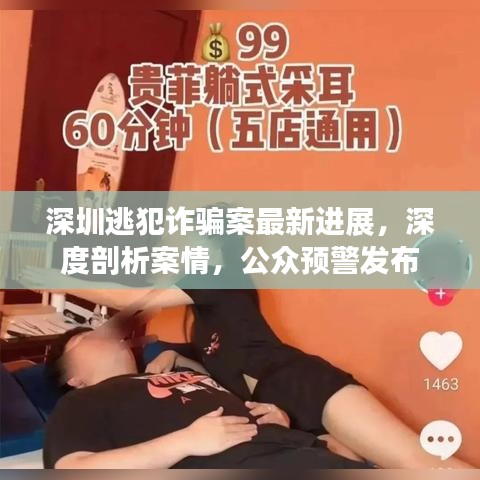深圳逃犯诈骗案最新进展，深度剖析案情，公众预警发布