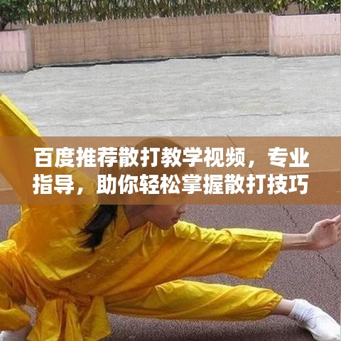 百度推荐散打教学视频，专业指导，助你轻松掌握散打技巧！