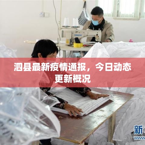 泗县最新疫情通报，今日动态更新概况
