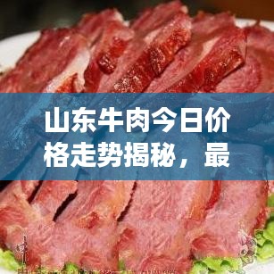 山东牛肉今日价格走势揭秘，最新报价、市场趋势及影响因素深度解析