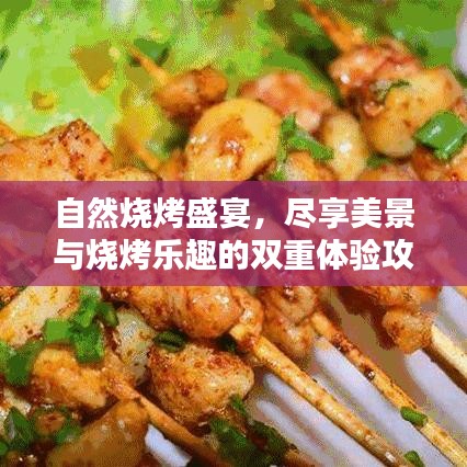 自然烧烤盛宴，尽享美景与烧烤乐趣的双重体验攻略