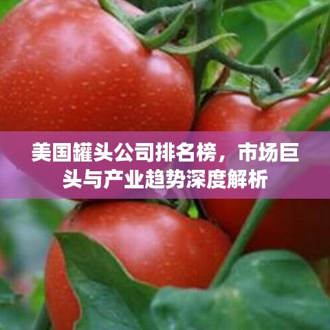 美国罐头公司排名榜，市场巨头与产业趋势深度解析