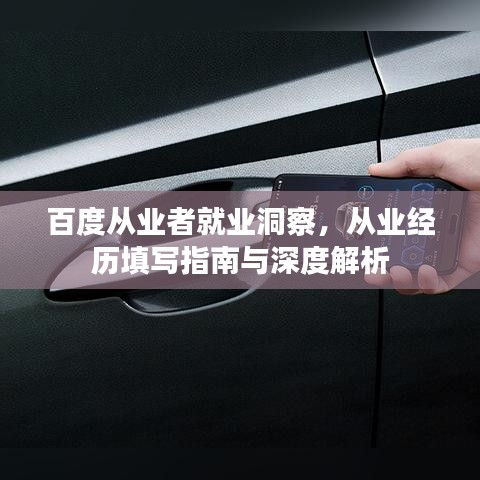 百度从业者就业洞察，从业经历填写指南与深度解析