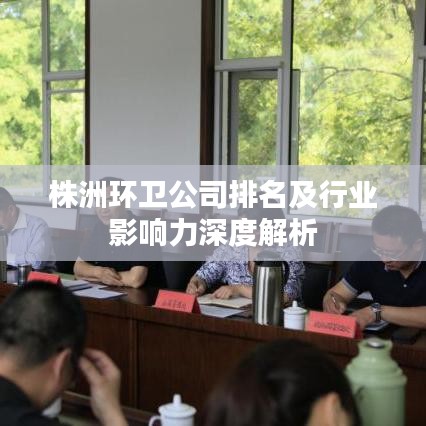 株洲环卫公司排名及行业影响力深度解析