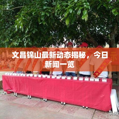 文昌锦山最新动态揭秘，今日新闻一览