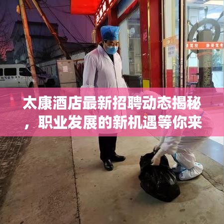 太康酒店最新招聘动态揭秘，职业发展的新机遇等你来探寻！
