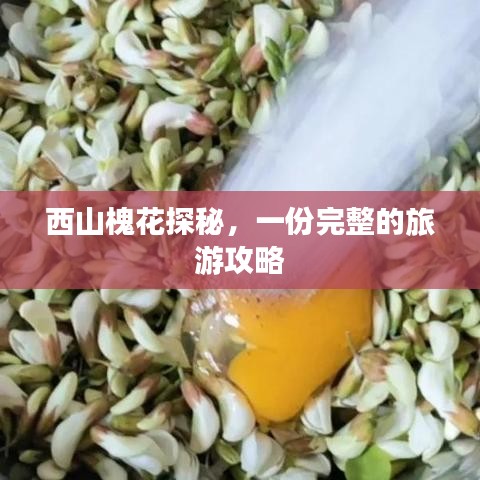 西山槐花探秘，一份完整的旅游攻略