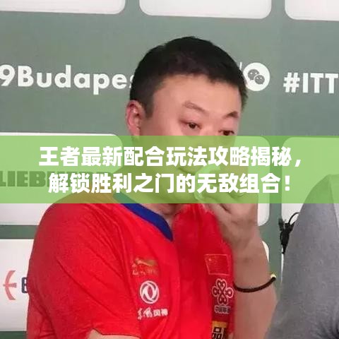 王者最新配合玩法攻略揭秘，解锁胜利之门的无敌组合！