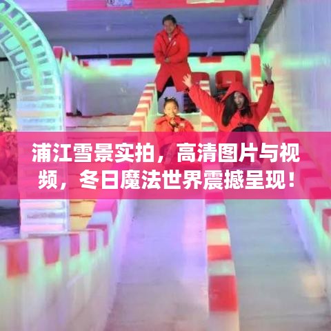 浦江雪景实拍，高清图片与视频，冬日魔法世界震撼呈现！