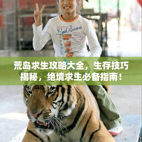 荒岛求生攻略大全，生存技巧揭秘，绝境求生必备指南！