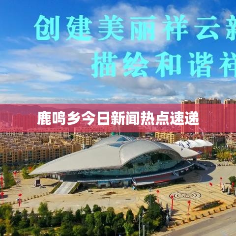 鹿鸣乡今日新闻热点速递