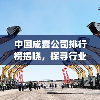 中国成套公司排行榜揭晓，探寻行业领军者的辉煌足迹