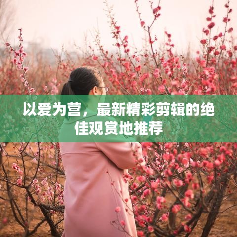 以爱为营，最新精彩剪辑的绝佳观赏地推荐
