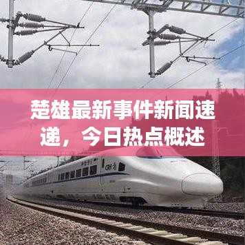 楚雄最新事件新闻速递，今日热点概述