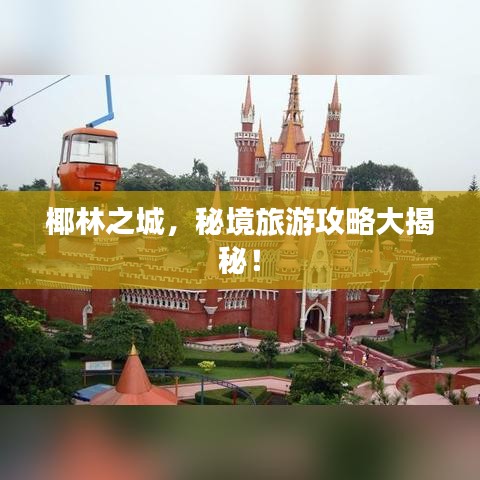 椰林之城，秘境旅游攻略大揭秘！