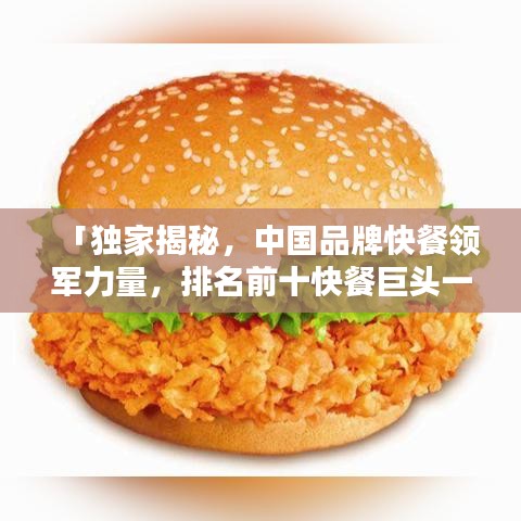 「独家揭秘，中国品牌快餐领军力量，排名前十快餐巨头一览」