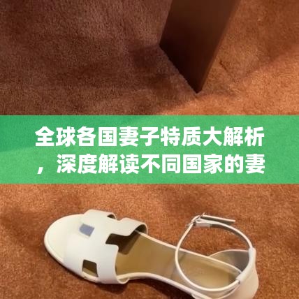 全球各国妻子特质大解析，深度解读不同国家的妻子魅力排名