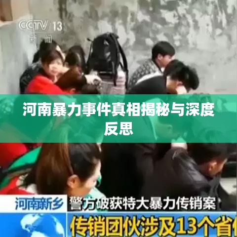 河南暴力事件真相揭秘与深度反思
