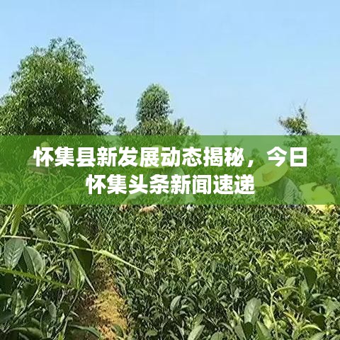 怀集县新发展动态揭秘，今日怀集头条新闻速递
