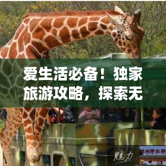 爱生活必备！独家旅游攻略，探索无限美好，尽享人生乐趣