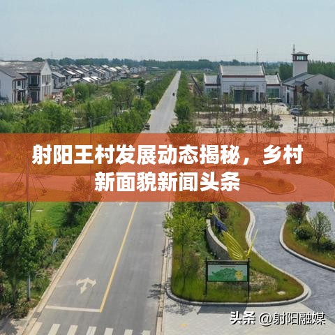射阳王村发展动态揭秘，乡村新面貌新闻头条