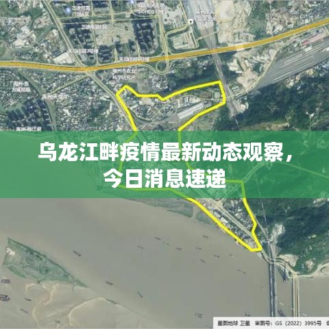乌龙江畔疫情最新动态观察，今日消息速递