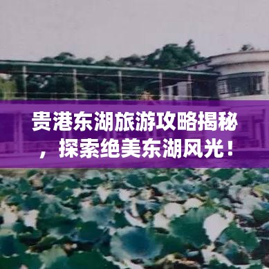 贵港东湖旅游攻略揭秘，探索绝美东湖风光！