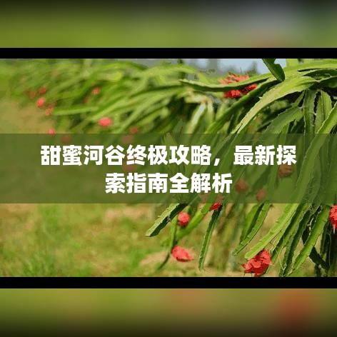 甜蜜河谷终极攻略，最新探索指南全解析