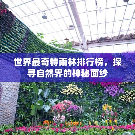 世界最奇特雨林排行榜，探寻自然界的神秘面纱