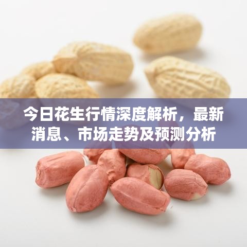 今日花生行情深度解析，最新消息、市场走势及预测分析