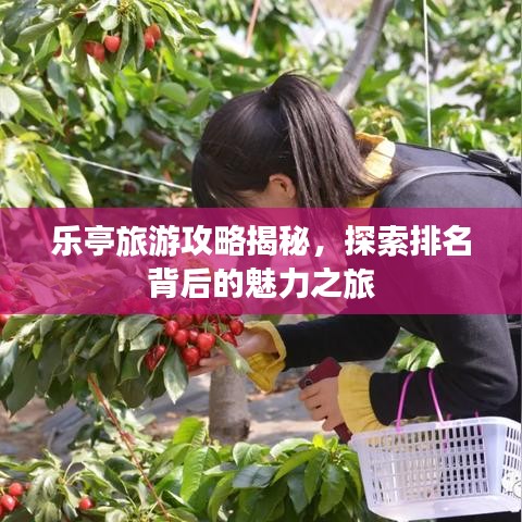 2025年6月3日 第39页