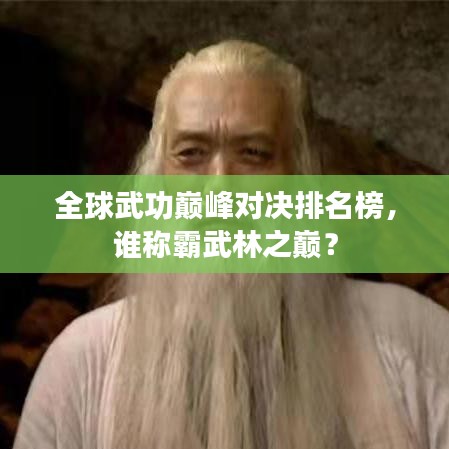 全球武功巅峰对决排名榜，谁称霸武林之巅？
