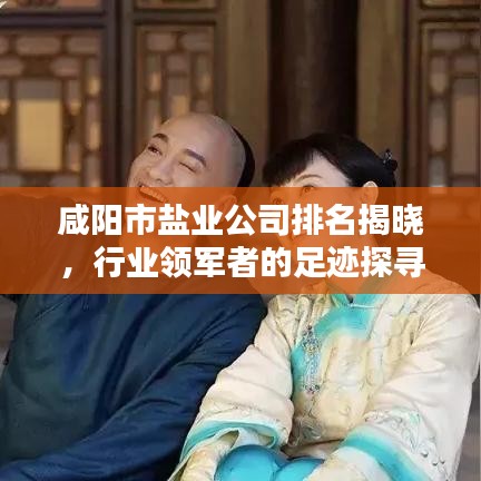咸阳市盐业公司排名揭晓，行业领军者的足迹探寻