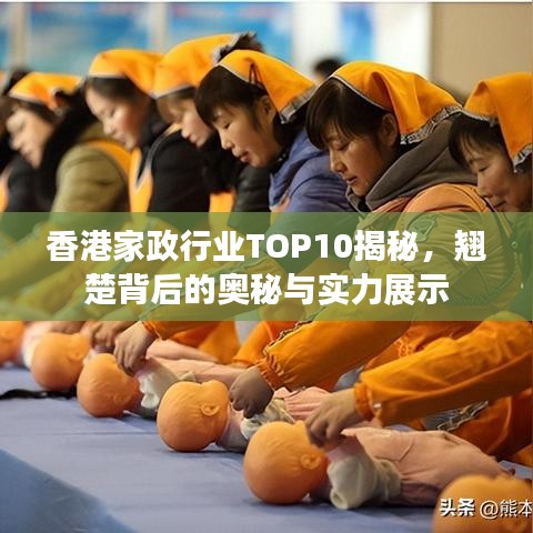 香港家政行业TOP10揭秘，翘楚背后的奥秘与实力展示