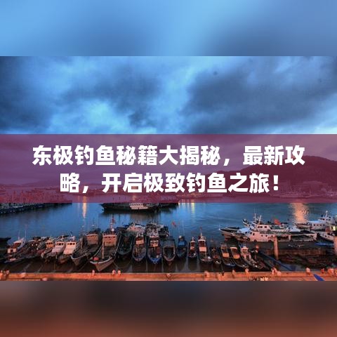 东极钓鱼秘籍大揭秘，最新攻略，开启极致钓鱼之旅！