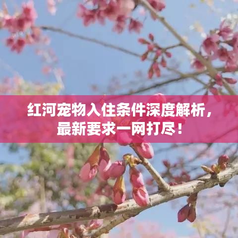 红河宠物入住条件深度解析，最新要求一网打尽！