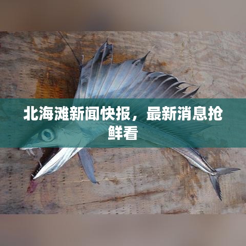 北海滩新闻快报，最新消息抢鲜看