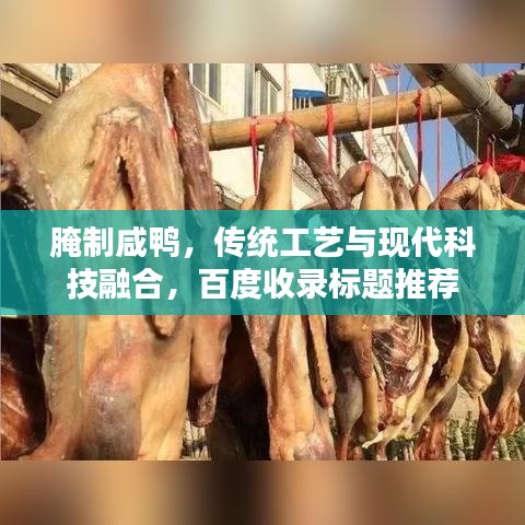 腌制咸鸭，传统工艺与现代科技融合，百度收录标题推荐
