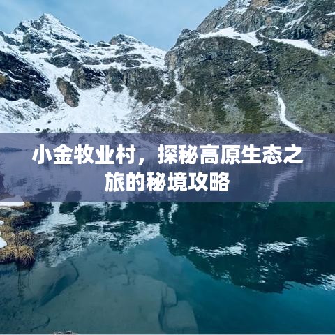小金牧业村，探秘高原生态之旅的秘境攻略