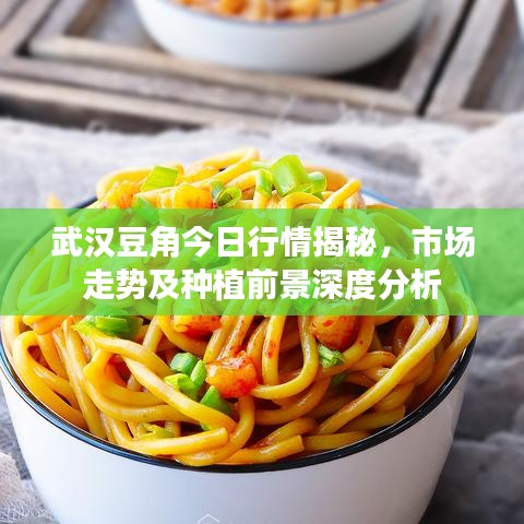 武汉豆角今日行情揭秘，市场走势及种植前景深度分析