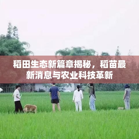 2025年6月3日 第7页